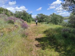 Flora del Cerro Masatrigo